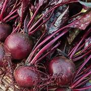 Beetroot vegetable seeds for planting - Heirloom & Non-GMO Garden seeds, nutritious root vegetables for healthy meals
