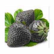 Black Strawberry fruit seeds for planting – Heirloom & Non-GMO garden seeds, rich-flavored unique berry variety