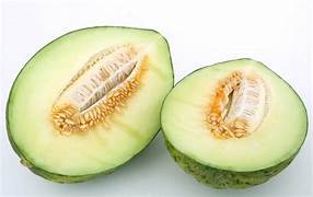 Green Toadskin Melon seeds for planting - Heirloom & Non-GMO Garden seeds, exotic melon variety with distinct texture