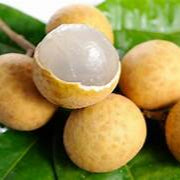 Golden Yellow Longan fruit seeds for planting - Heirloom & Non-GMO Tropical Garden seeds