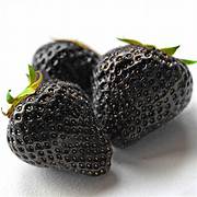 Black Strawberry fruit seeds for planting – Heirloom & Non-GMO garden seeds, rich-flavored unique berry variety