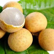 Longan fruit seeds for planting – Heirloom & Non-GMO garden seeds, sweet tropical fruit for home gardens