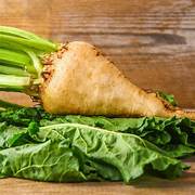 Sugar Beet vegetable seeds for planting - Heirloom & Non-GMO Garden seeds, nutrient-rich roots for home gardens