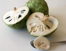 Cherimoya Ice Cream fruit seeds for planting - Heirloom & Non-GMO Garden seeds
