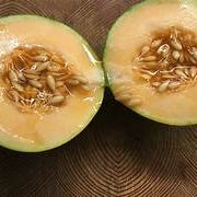 White Yellow Cantaloupe fruit seeds for planting - Heirloom & Non-GMO garden seeds, juicy sweet melon variety