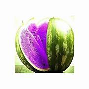 Violet Watermelon fruit seeds for planting - Heirloom & Non-GMO garden seeds, rare variety for home gardens