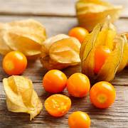 Physalis fruit seeds for planting – Heirloom & Non-GMO garden seeds, tangy nutrient-rich berries for small gardens