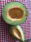 Ice-Cream Cantaloupe fruit seeds for planting - Heirloom & Non-GMO Garden seeds