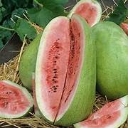 Charleston Gray Watermelon fruit seeds for planting - Heirloom & Non-GMO Garden seeds, juicy summer variety