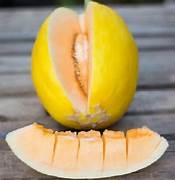 Yellow Crenshaw Melon Fruit Seeds for Planting – Heirloom & Non-GMO Garden seeds, juicy summer melons