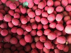 Brewster Lychee fruit seeds for planting - Heirloom & Non-GMO Garden seeds, sweet tropical orchard fruit