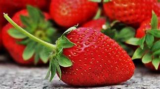 Red Ananassa fruit seeds for planting - Heirloom & Non-GMO Garden seeds