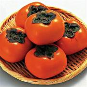 Red Diospyros Persimmon fruit seeds for planting - Heirloom & Non-GMO Garden seeds