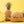 Yellow Pineapple Fruit Seeds for Planting – Heirloom & Non-GMO Garden seeds, easy-to-grow tropical fruits