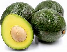 Reed Avocado fruit seeds for planting – Heirloom & Non-GMO organic garden seeds