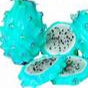 Blue Pitaya fruit seeds for planting - Heirloom & Non-GMO garden seeds, vibrant easy-to-grow superfood variety