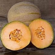 Jumbo Cantaloupe fruit seeds for planting – Heirloom & Non-GMO giant juicy garden seeds