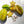 Yellow Starfruit fruit seeds for planting - Heirloom & Non-GMO Garden seeds