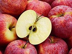 Pink and Yellow Apple fruit seeds for planting - Heirloom & Non-GMO Garden seeds