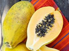 Hawaiian Rainbow Papaya fruit seeds for planting – Heirloom & Non-GMO garden seeds for vibrant tropical yield