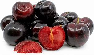 Burgundy Alubukhara Plum fruit seeds for planting - Heirloom & Non-GMO Garden seeds