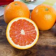 Cara Cara Orange fruit seeds for planting - Heirloom & Non-GMO garden seeds for juicy citrus harvests