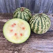 Citron Red Watermelon fruit seeds for planting – Heirloom & Non-GMO garden seeds, uniquely shaped flavorful melon variety
