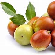 Asian Date Jujube fruit seeds for planting - Heirloom & Non-GMO Garden seeds for sweet mini date fruits