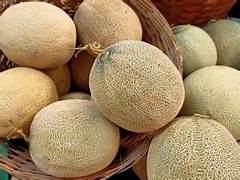 Musk Melon fruit seeds for planting - Heirloom & Non-GMO Garden seeds, juicy summer melons for home gardens