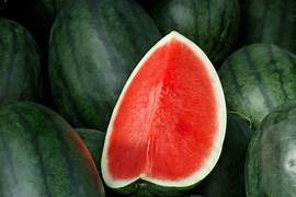Red Watermelon fruit seeds for planting - Heirloom & Non-GMO Garden seeds