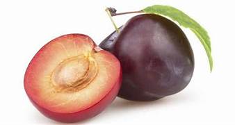 Burgundy Alubukhara Plum fruit seeds for planting - Heirloom & Non-GMO Garden seeds