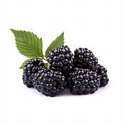 Blackberry Fruit Seeds for Planting – Heirloom & Non-GMO Garden seeds, rich berries for homegrown harvests