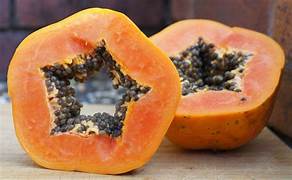 Hawaiian Rainbow Papaya fruit seeds for planting – Heirloom & Non-GMO garden seeds for vibrant tropical yield