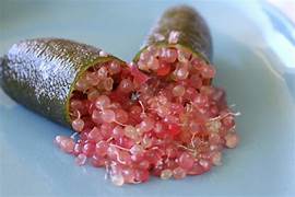 Pink Ice Finger Lime Fruit Seeds for Planting – Heirloom & Non-GMO Garden seeds, gourmet citrus pearls