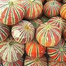 Kajari Melon fruit seeds for planting - Heirloom & Non-GMO Garden seeds, striped melons with rich sweet flavor