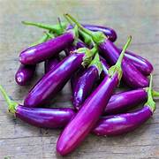 Purple Eggplant fruit seeds for planting - Heirloom & Non-GMO Garden seeds