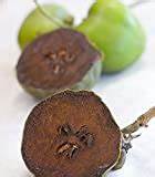 Fresh Digyna Sapote fruit seeds for planting - Heirloom & Non-GMO Garden seeds, exotic home orchard variety