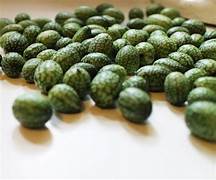 Mouse Melon fruit seeds for planting – Heirloom & Non-GMO garden seeds for unique miniature harvests