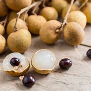 Longan Fruit Seeds for Planting – Heirloom & Non-GMO Tropical Fruit Garden Seeds