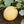 Yellow Galia Melon vegetable seeds for planting - Heirloom & Non-GMO Garden seeds