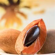Mamey Fruit Seeds for Planting – Heirloom & Non-GMO Tropical Fruit Garden Seeds