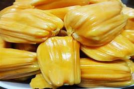 Golden Pillow Jackfruit seeds for planting - Heirloom & Non-GMO Garden seeds