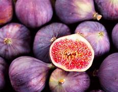 Burgundy Figs fruit seeds for planting - Heirloom & Non-GMO garden seeds for sweet nutritious harvests