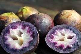Purple Star Apple fruit seeds for planting - Heirloom & Non-GMO Garden seeds