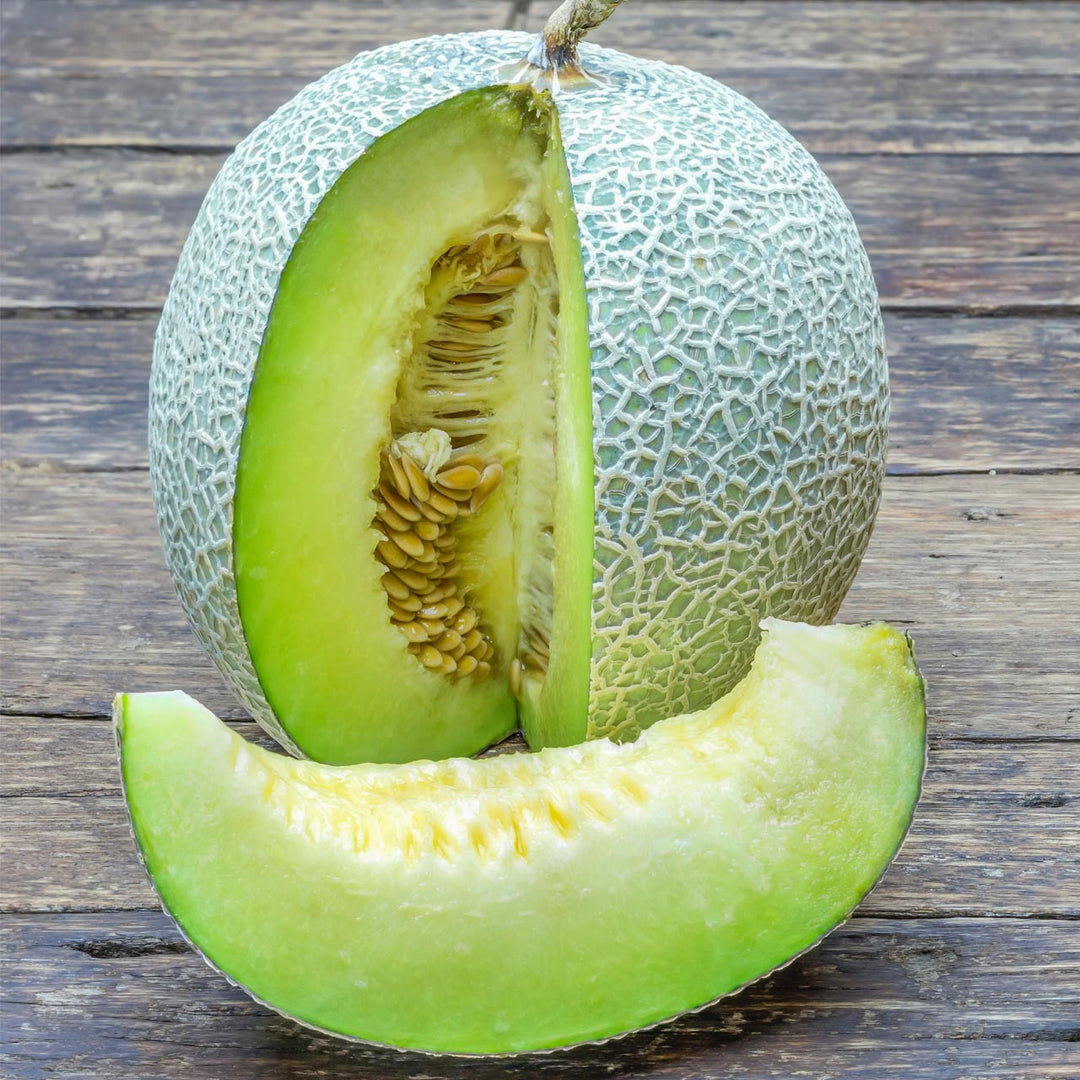 Cucumis Melo fruit seeds for planting - Heirloom & Non-GMO Garden seeds
