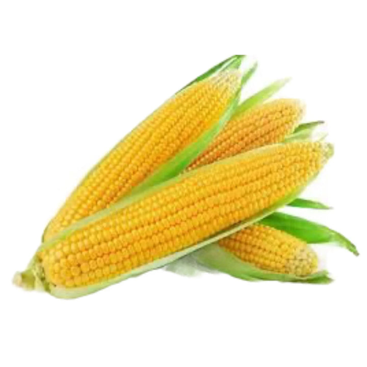 Organic Sweet Corn Seeds for Planting – High-Yield, Non-GMO Vegetable Seeds for Home Garden & Farm Use