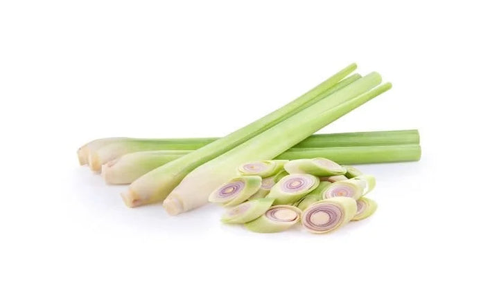 Lemongrass Herb Seeds for Planting – Heirloom, Non-GMO, Organic Garden Seeds with High Germination Rate