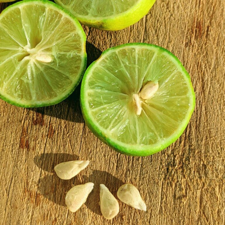Sweet Cherry Lime fruit seeds for planting - Heirloom & Non-GMO Garden seeds
