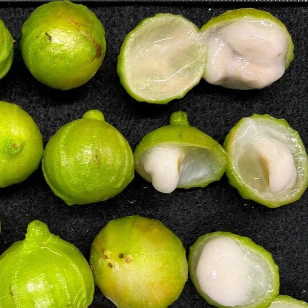 Fruit Seeds,Garden seeds, Seeds For Planting,Plant Seeds