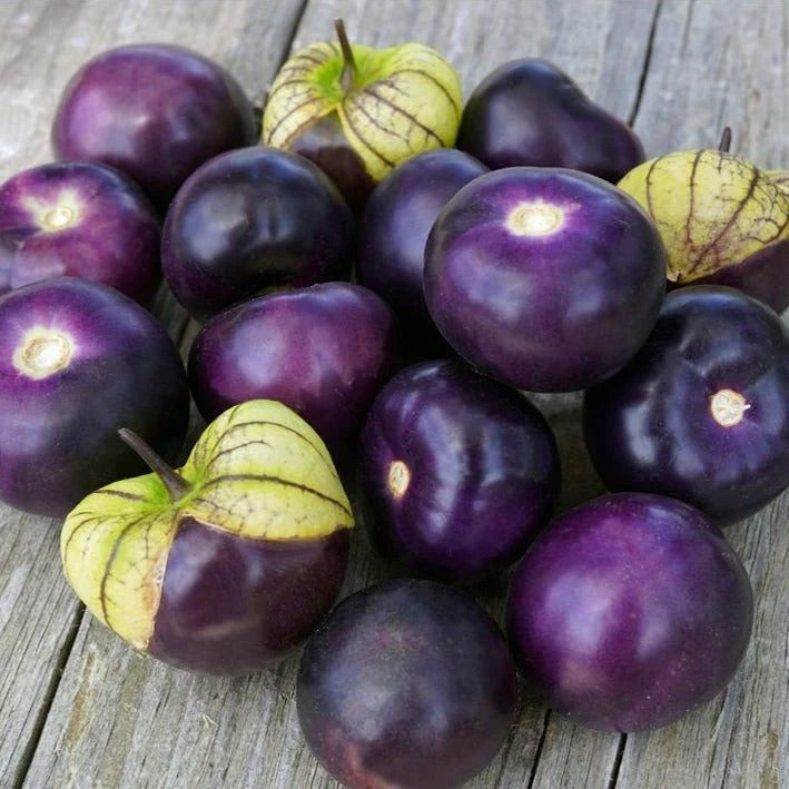 Purple Tomatillo Seeds – Heirloom Non-GMO Organic Tangy Mexican Vegetable Seeds for Planting